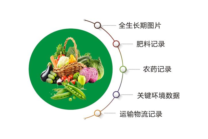 蔬菜追溯系统怎么做