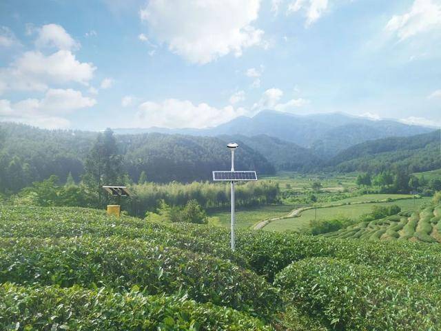 智慧茶园建设