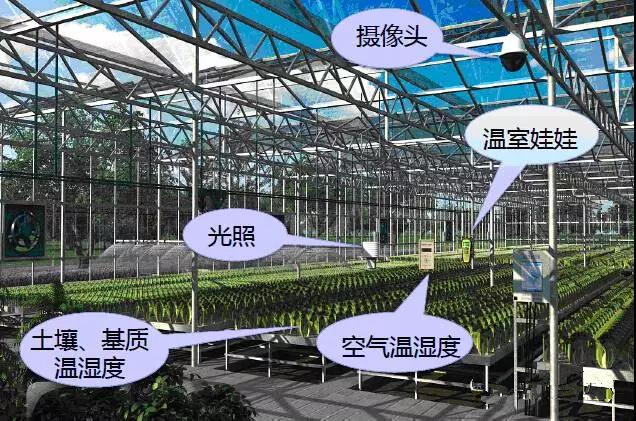温室物联网大数据云平台