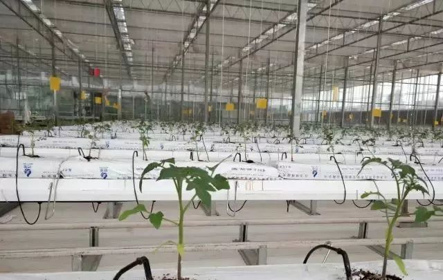 种植物联网设备