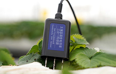 智能土壤湿度监测系统